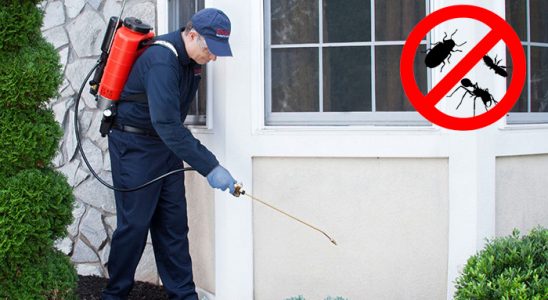Bağlar Böcek ve Haşere İlaçlama böcek ilaçlama ve haşere kontrolü — ilaclama-tr.com